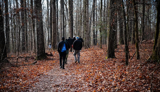 Harbins Park — Football Park Trail — photo 5